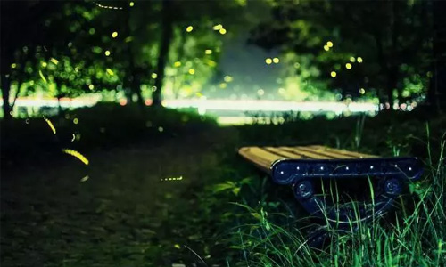 最后的同信府，最后的市中心庭院洋房