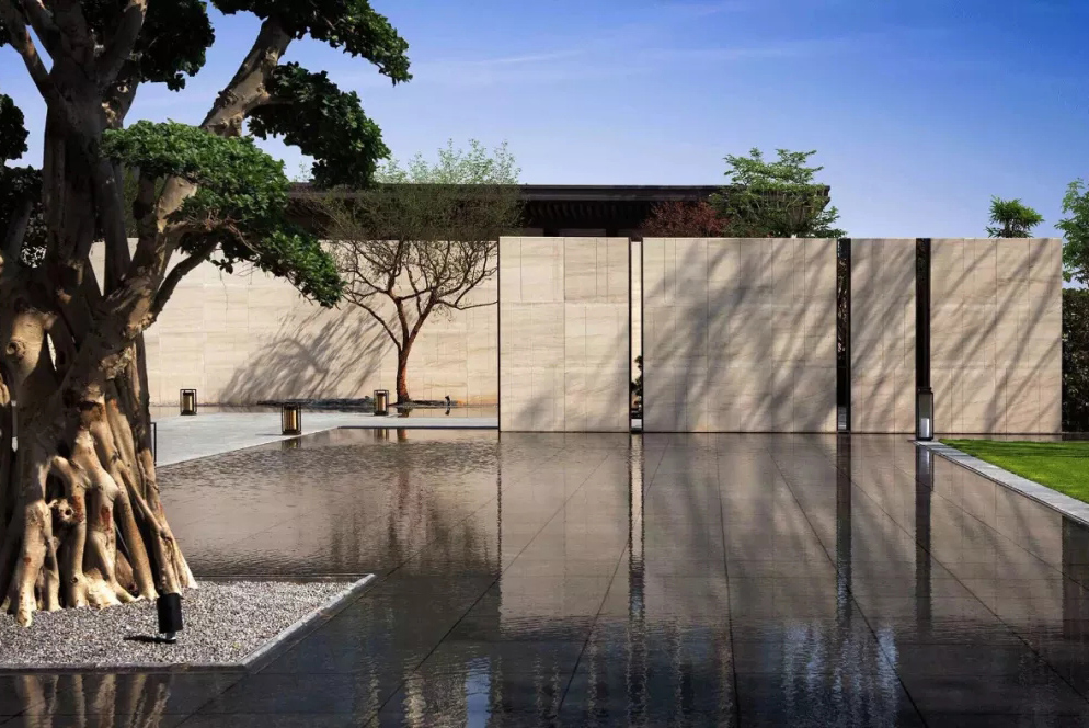 心之所向，桃花源！