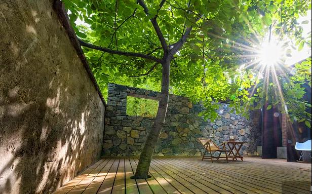 同信·愛家壹號|曾經(jīng)江湖策馬，如今院里觀花！