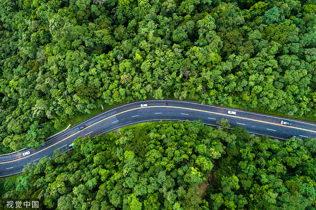 福利請(qǐng)查收丨點(diǎn)亮團(tuán)圓路，與愛相伴同心同行！