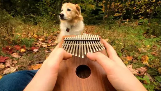 河畔有約丨看見指尖藝術(shù)，聆聽幻彩音符！